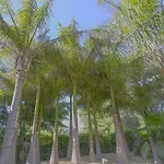 El Palmeral De Madaria لقنت