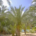 El Palmeral De Madaria