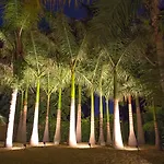 El Palmeral De Madaria * لقنت