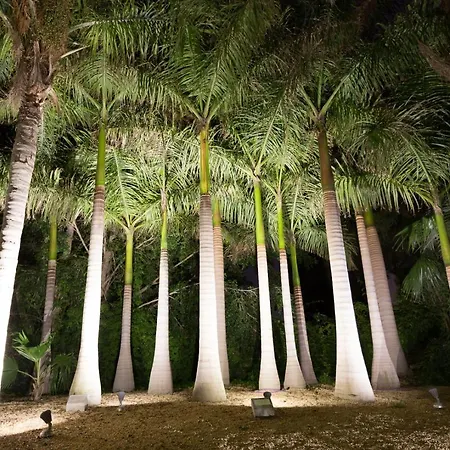 El Palmeral De Madaria * Alicante