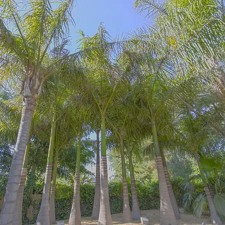 El Palmeral De Madaria Alicante