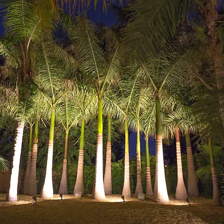 El Palmeral De Madaria * Alicante