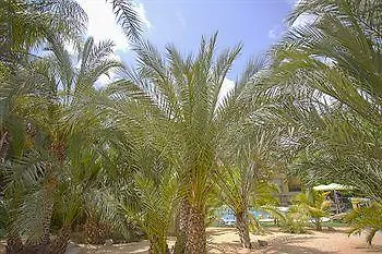 El Palmeral De Madaria *