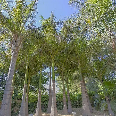 Apartment El Palmeral De Madaria
