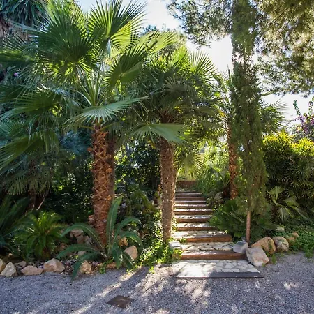 El Palmeral De Madaria *