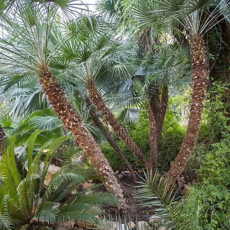 El Palmeral De Madaria Διαμέρισμα *