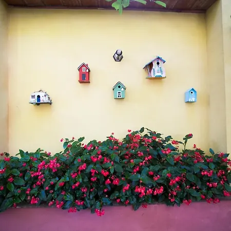 El Palmeral De Madaria Alicante