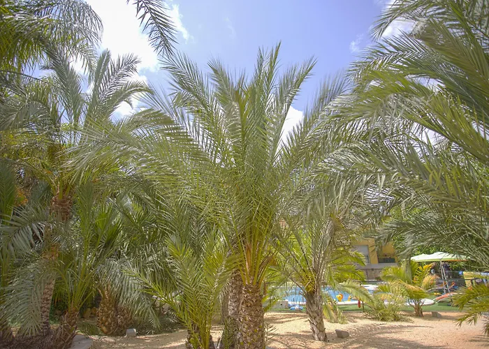 El Palmeral De Madaria