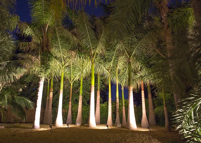 El Palmeral De Madaria * Alicante
